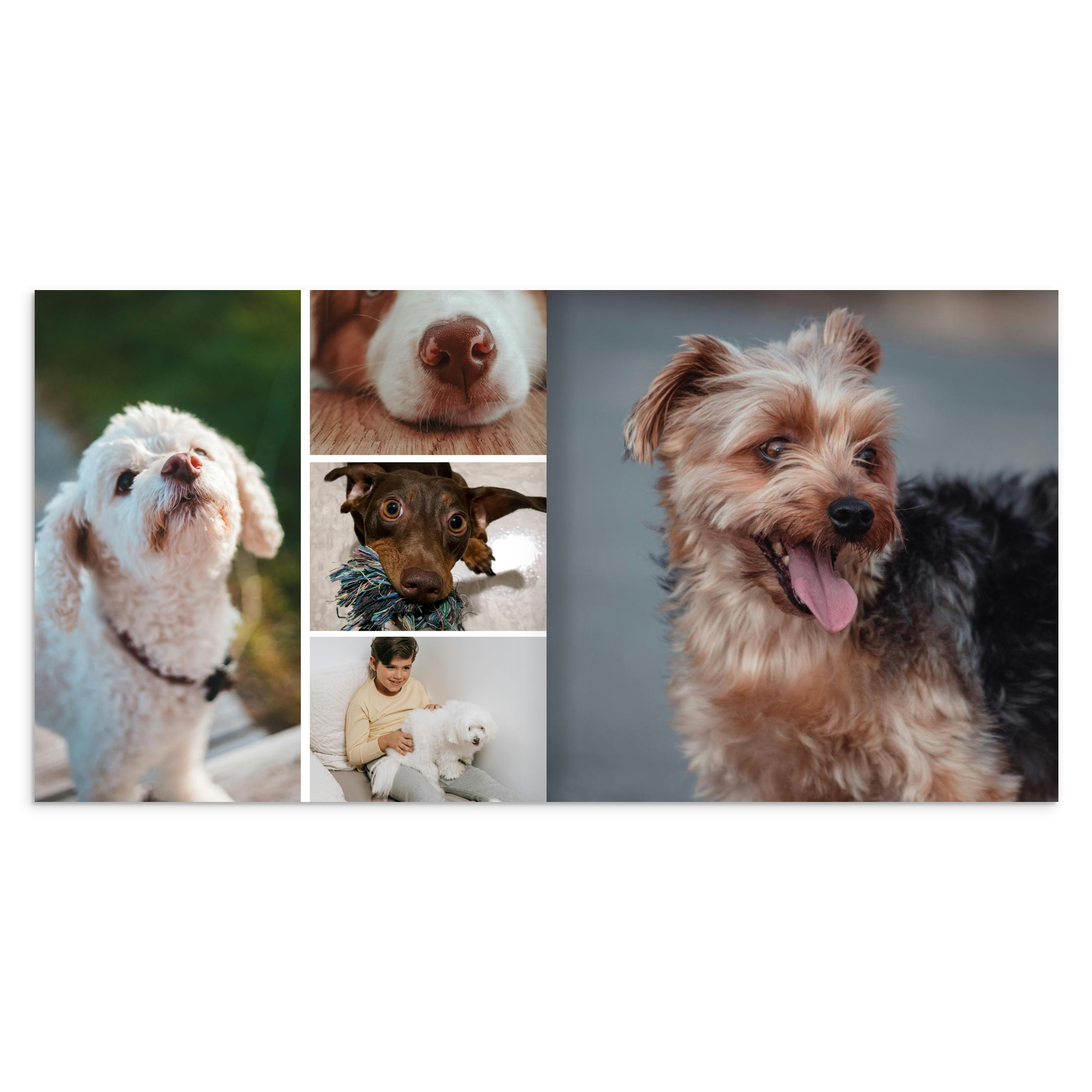 21264711-d495-492d-aa41-ba4e7eca4209