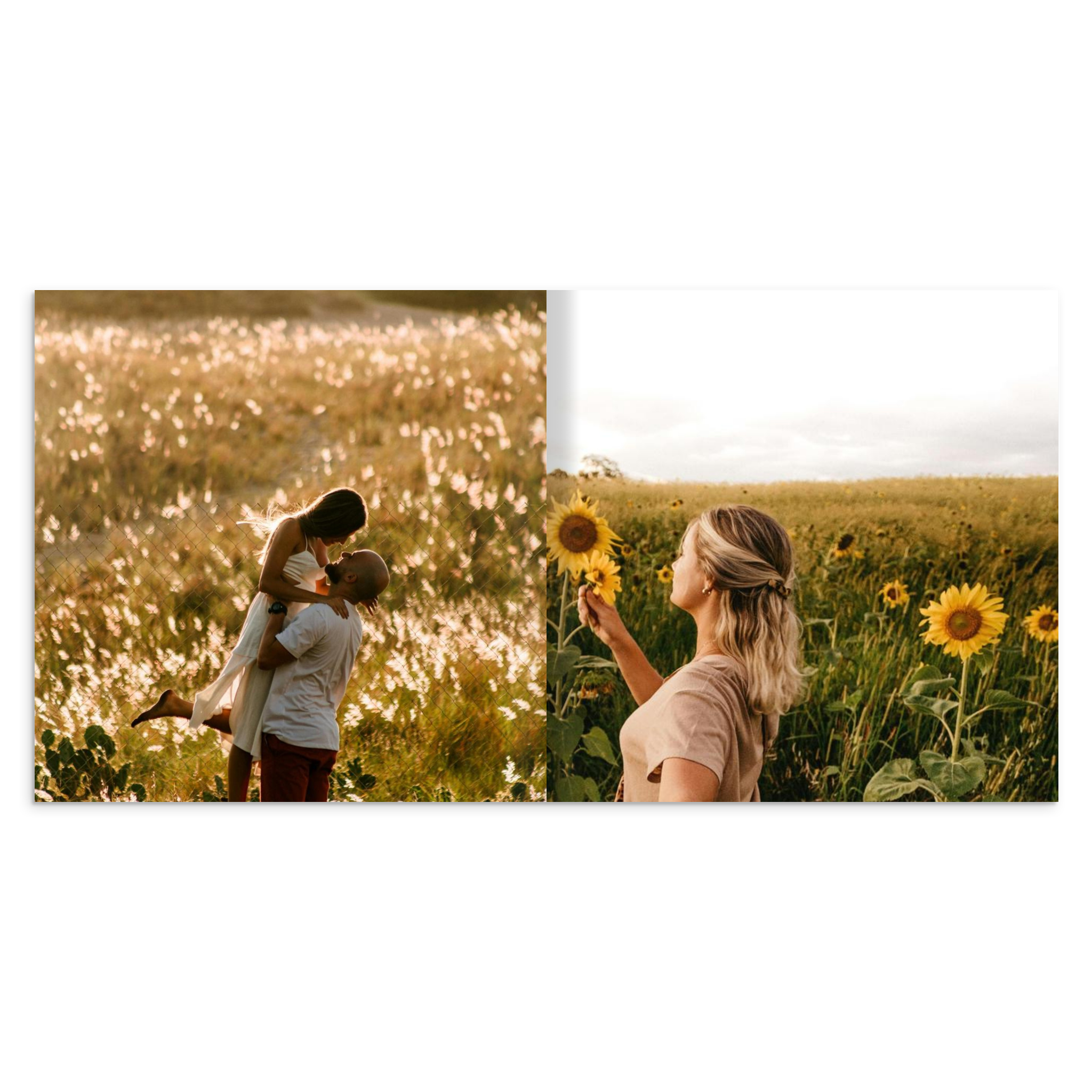 51b514d3-a051-4da3-b437-8db23dadb04c