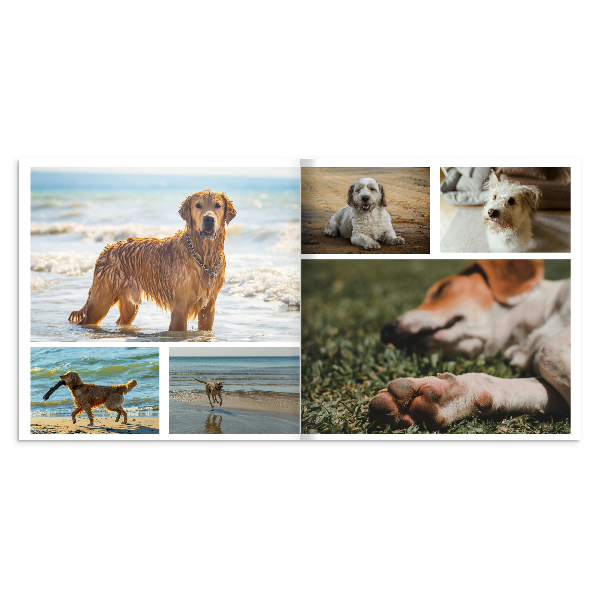 54c6c55a-835a-4209-9cb4-5cd7556cf4f0