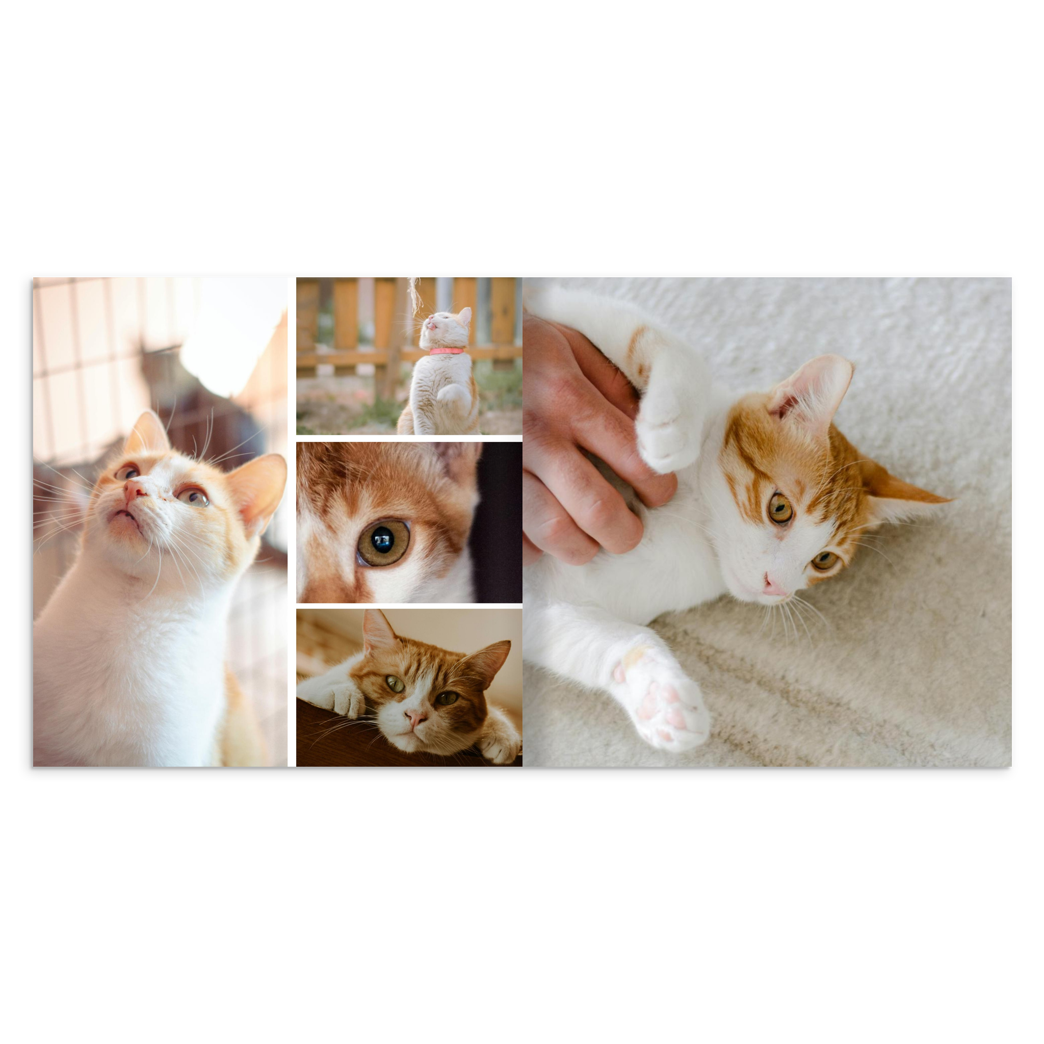 9b678d0e-1d2f-451c-bdb0-5b4c60e661e3