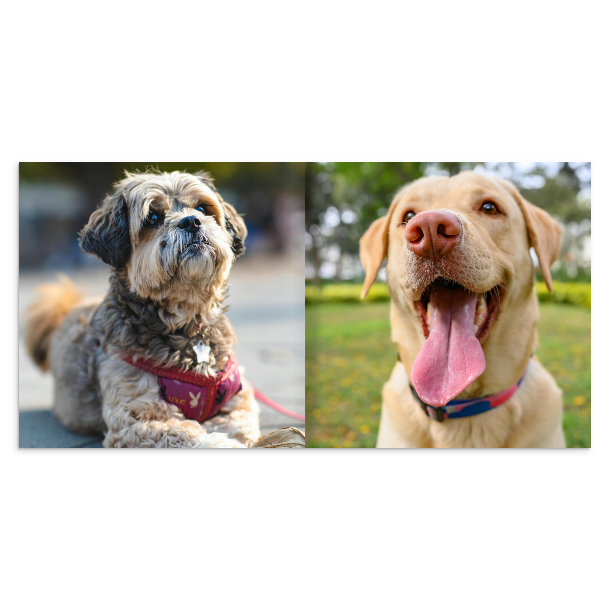 ed03bb13-fec3-4182-890f-89bcf25ca7bd